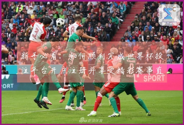 新手必看：如何顺利完成世界杯投注平台开户注册并享受精彩赛事直播