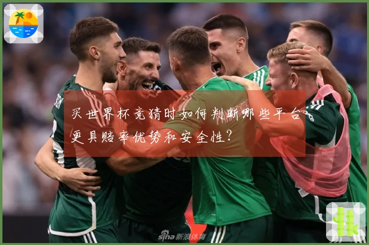 买世界杯竞猜时如何判断哪些平台更具赔率优势和安全性？