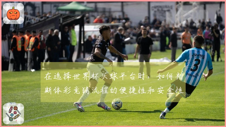 在选择世界杯买球平台时，如何判断体彩竞猜流程的便捷性和安全性？