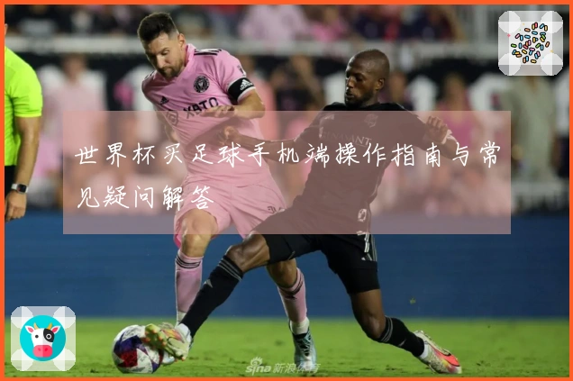 世界杯买足球手机端操作指南与常见疑问解答