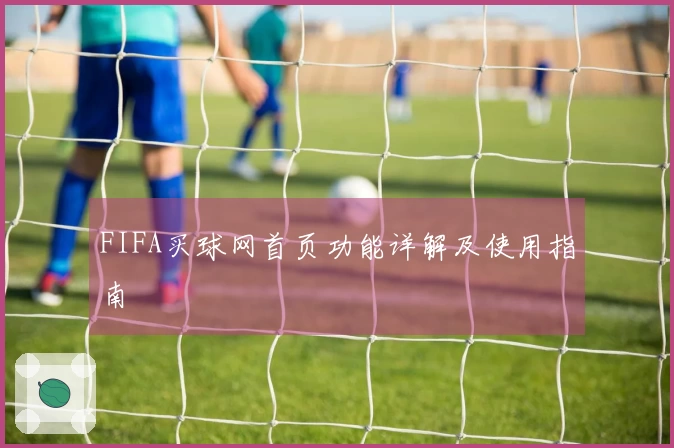 FIFA买球网首页功能详解及使用指南