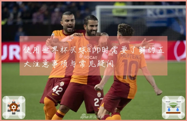 使用世界杯买球app时需要了解的五大注意事项与常见疑问
