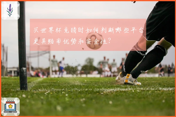 买世界杯竞猜时如何判断哪些平台更具赔率优势和安全性？