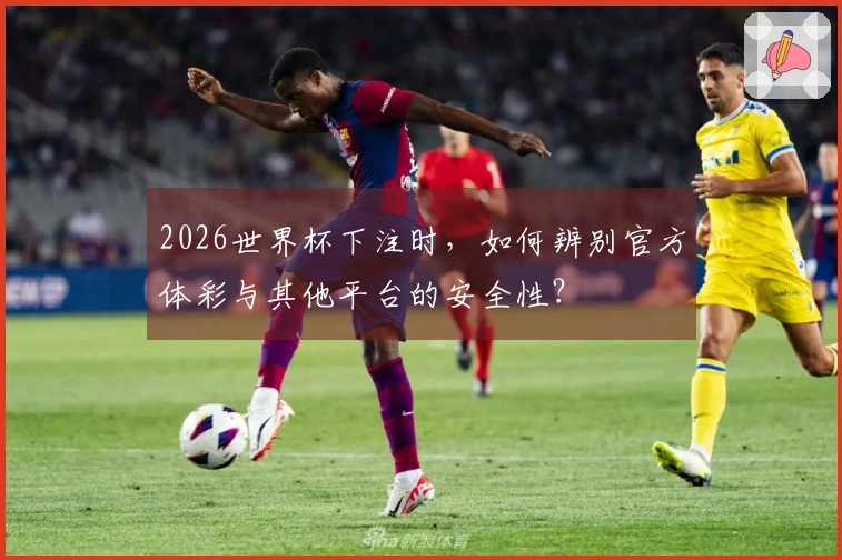 2026世界杯下注时，如何辨别官方体彩与其他平台的安全性？